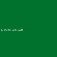 Lebhaftes Seide-Auto
