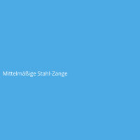 Mittelmäßige Stahl-Zange